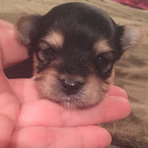 ❤️Meet your Posher, Connie❤️ 💜PRAY*LOVE*LIVE💜 - Picture 7 of 8